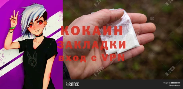 молекула духа Алексин