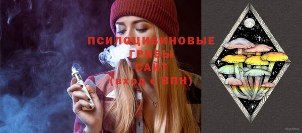 молекула духа Алексин