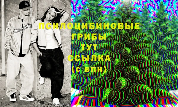 молекула духа Алексин