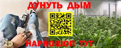 сатива Анапа