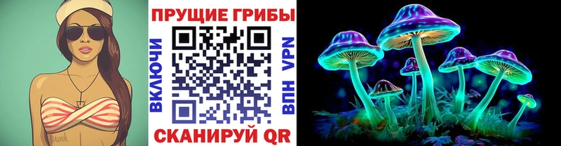 что такое Амурск блэк спрут рабочий сайт Галлюциногенные грибы GOLDEN TEACHER