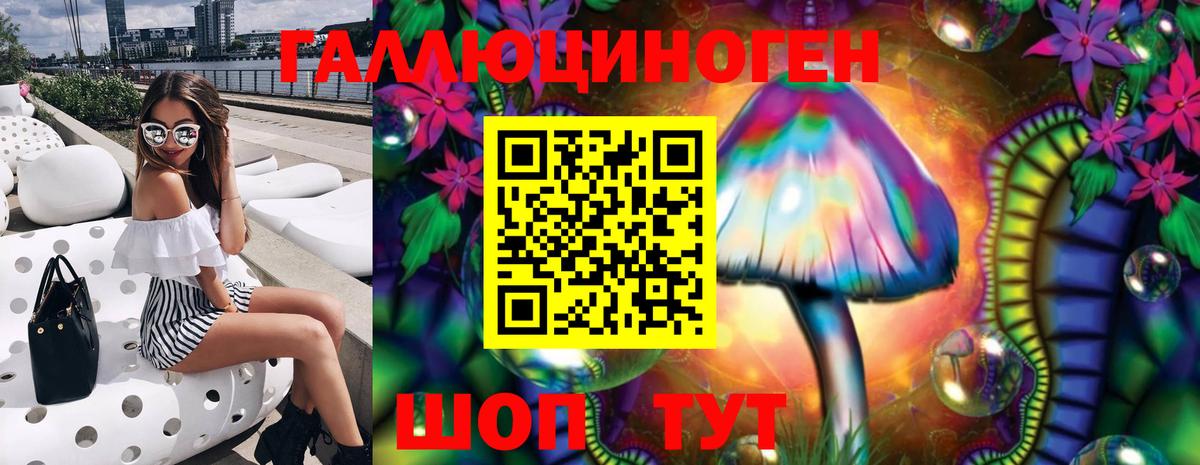 Галлюциногенные грибы Psilocybe Амурск